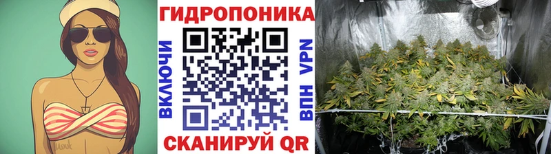 Шишки марихуана VHQ Верхняя Салда